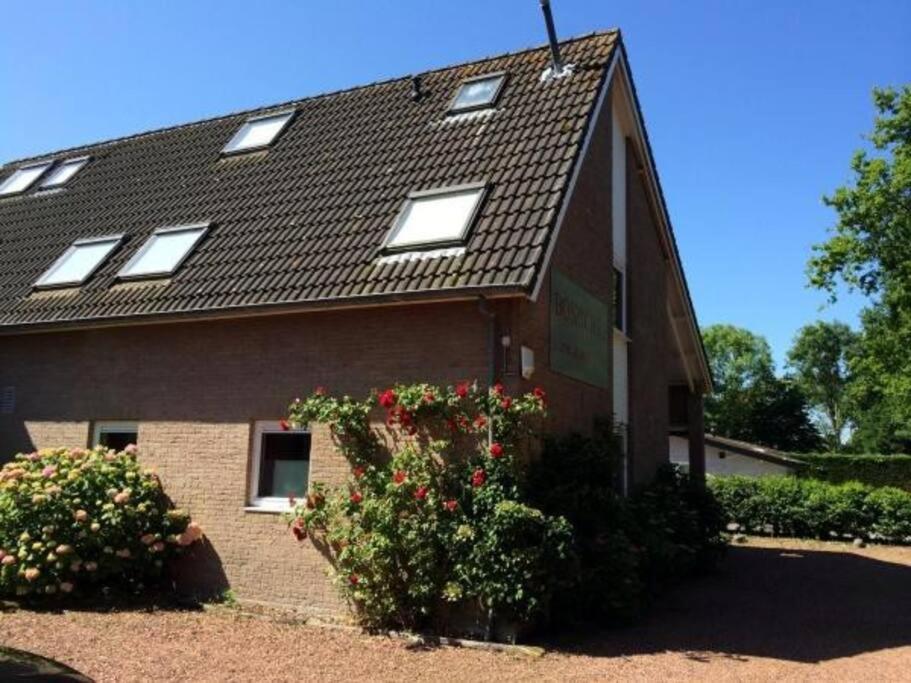 Boszicht 3 Appartement In Oostkapelle Bagian luar foto